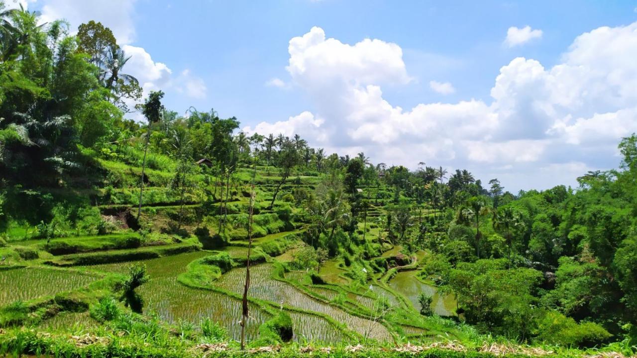 Novia Guest House Lombok-Tetebatu Zewnętrze zdjęcie