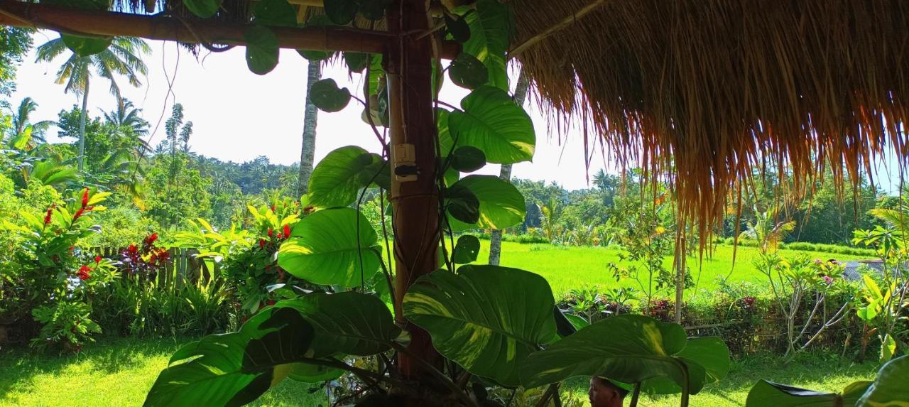 Novia Guest House Lombok-Tetebatu Zewnętrze zdjęcie