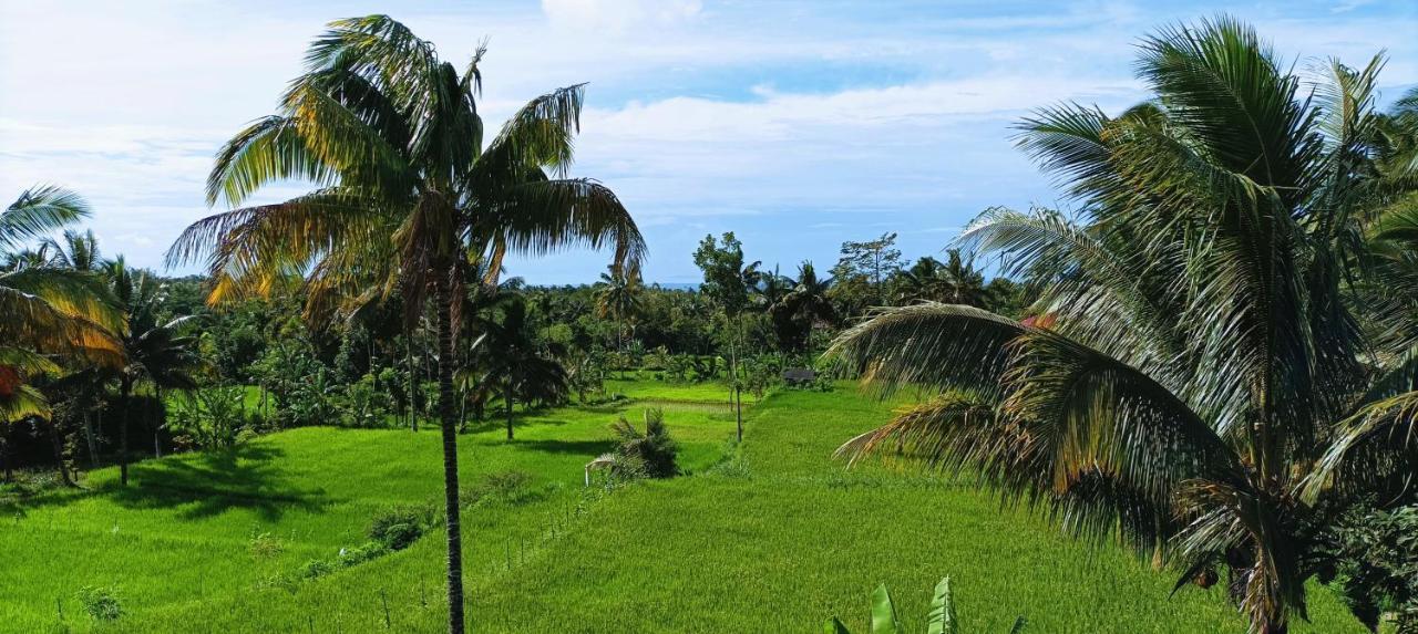 Novia Guest House Lombok-Tetebatu Zewnętrze zdjęcie