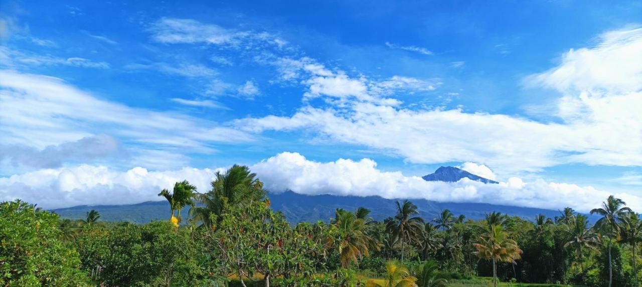 Novia Guest House Lombok-Tetebatu Zewnętrze zdjęcie