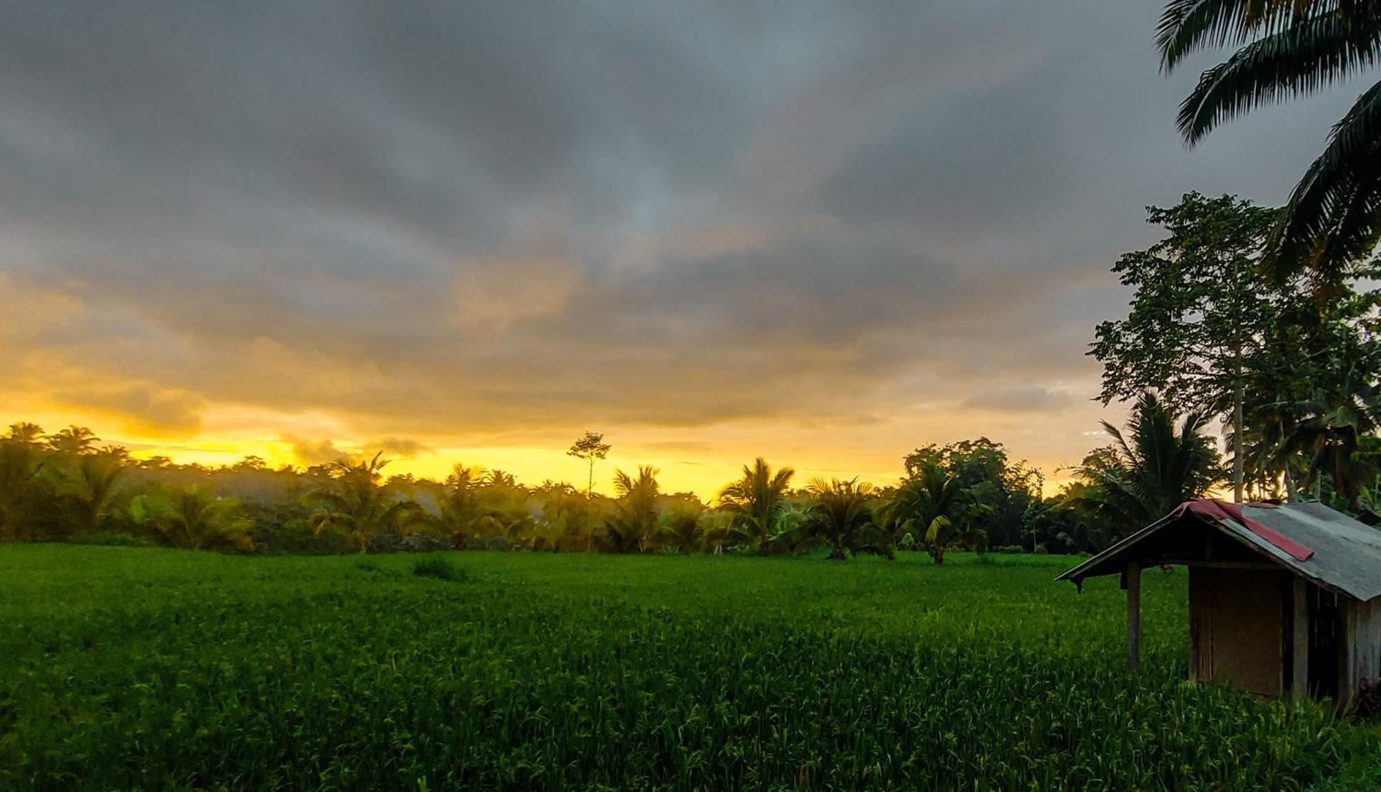 Novia Guest House Lombok-Tetebatu Zewnętrze zdjęcie